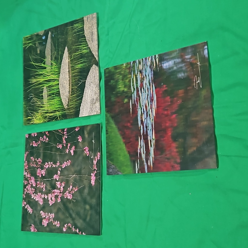 Peter Lik elements 3 photo set , Zen 11, acrylic mounted photos set fine Art